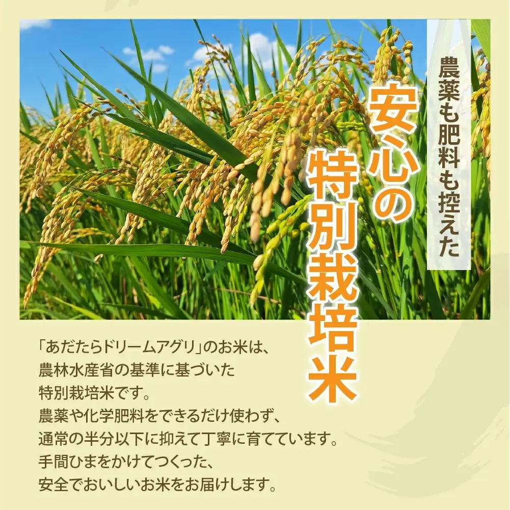 特別栽培米 10kg 白米 コシヒカリ 特別栽培米 精米