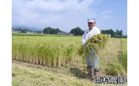 もち米 こがねもち 3kg 《 令和6年 》 西村農園 ｜ 餅米 餅こめ 米 餅 もち モチ おこわ 炊き込みご飯 福島県 大玉村 ｜nm-km03-R6