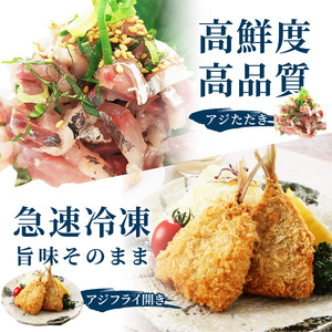 「青のまち 松浦」松浦うまかもん定期便全6回【2ヶ月毎配送】( 鯵 あじ アジ 真アジ アジフライ 開き フィレ 角煮まんじゅう 豚角煮 お弁当のおかず 冷凍 人気 海鮮 フライ お惣菜 肉厚 ギフト 贈り物 個包装 中華 )【G1-012】