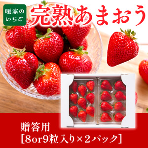 暖家のいちご　完熟あまおう　贈答用2パック【2月中旬以降順次発送】AB001