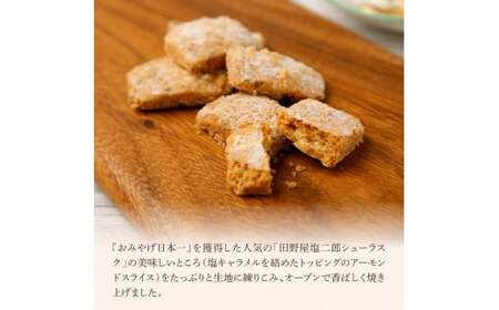 ★田野屋塩二郎完全天日塩★シューラスクギフト缶（20枚入）1缶＋アーモンドサブレ・ブリック（15個入）1箱セット