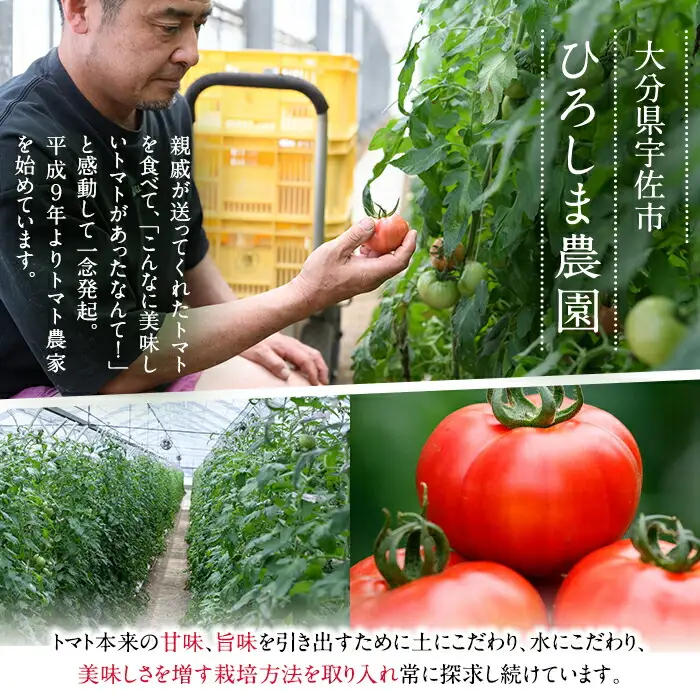 ＜7月1日先行予約受付開始！2027年3月下旬から順次発送予定＞フルーツトマト(2kg)トマト 野菜 期間限定 数量限定【110000201】【ひろしま農園】