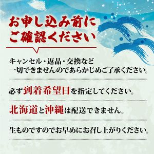 【先行予約】伊勢海老  伊勢海老 大 2尾 1kg