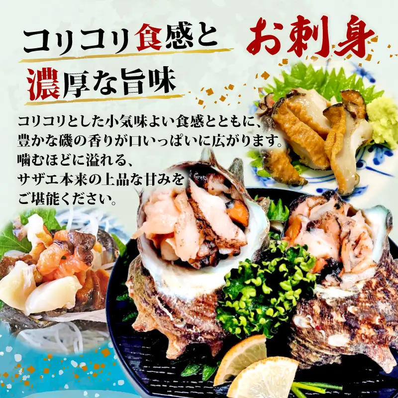 サザエ 三重県志摩産 新鮮 1kg（7～15個） さざえ