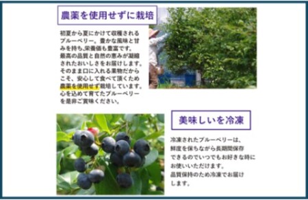 冷凍ブルーベリー 335g ブルーベリー ぶるーべりー フルーツ 果物 果実 産地直送 ZS-528
