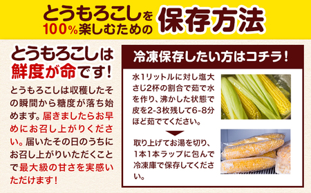 【2026年出荷】 北海道名寄産ホワイトコーン＆スイートコーンイエロー食べ比べセット L～2Lサイズ各10本計20本《2026年8月中旬-9月中旬頃出荷予定》