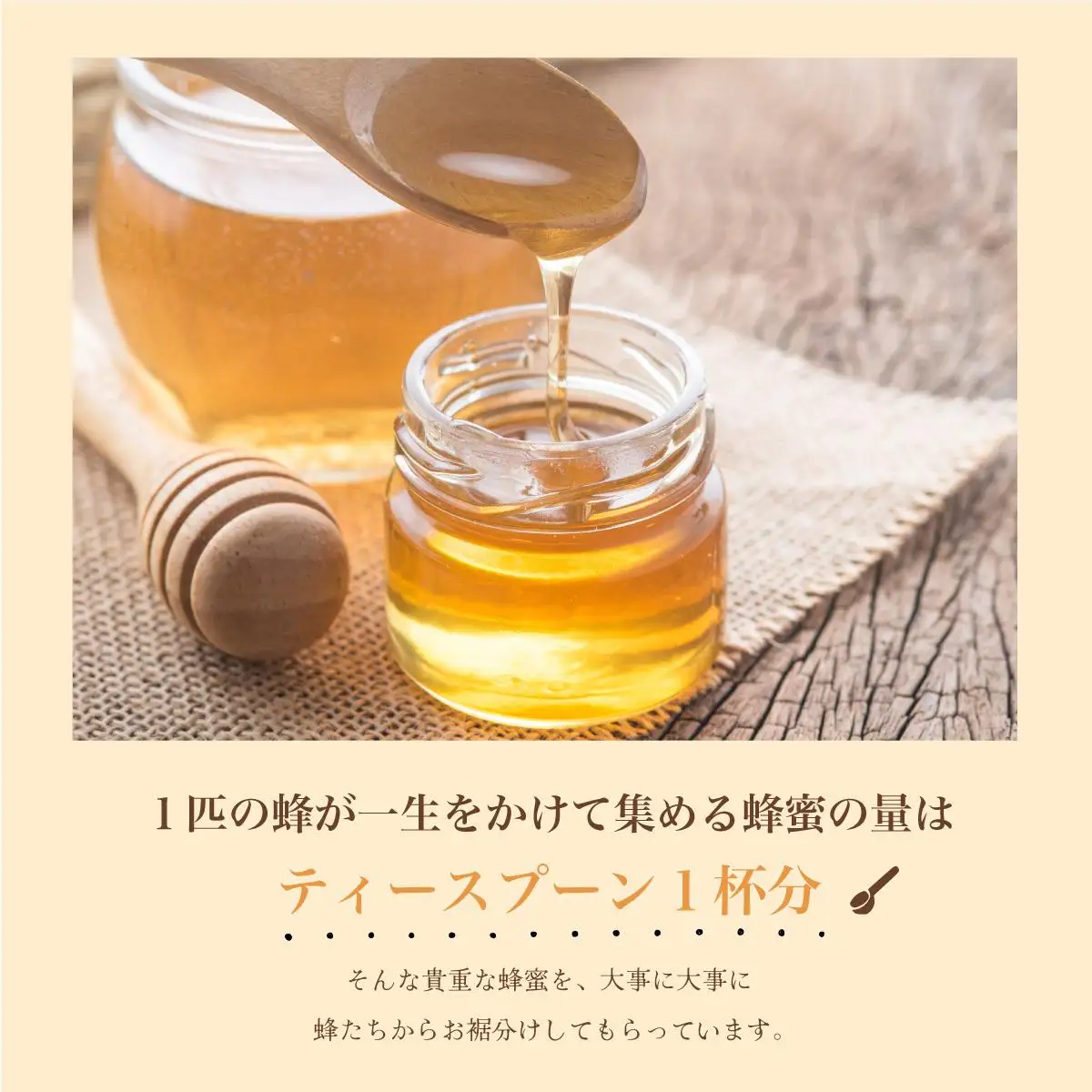 Sunshine Honey Iriomote（サンシャインハニー西表）