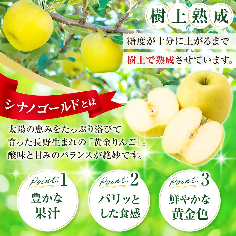 フルーツファーム中村農園　【10月中旬発送 先行予約】樹上熟成　シナノゴールド 3kg | りんご シナノゴールド 樹上熟成 りんご