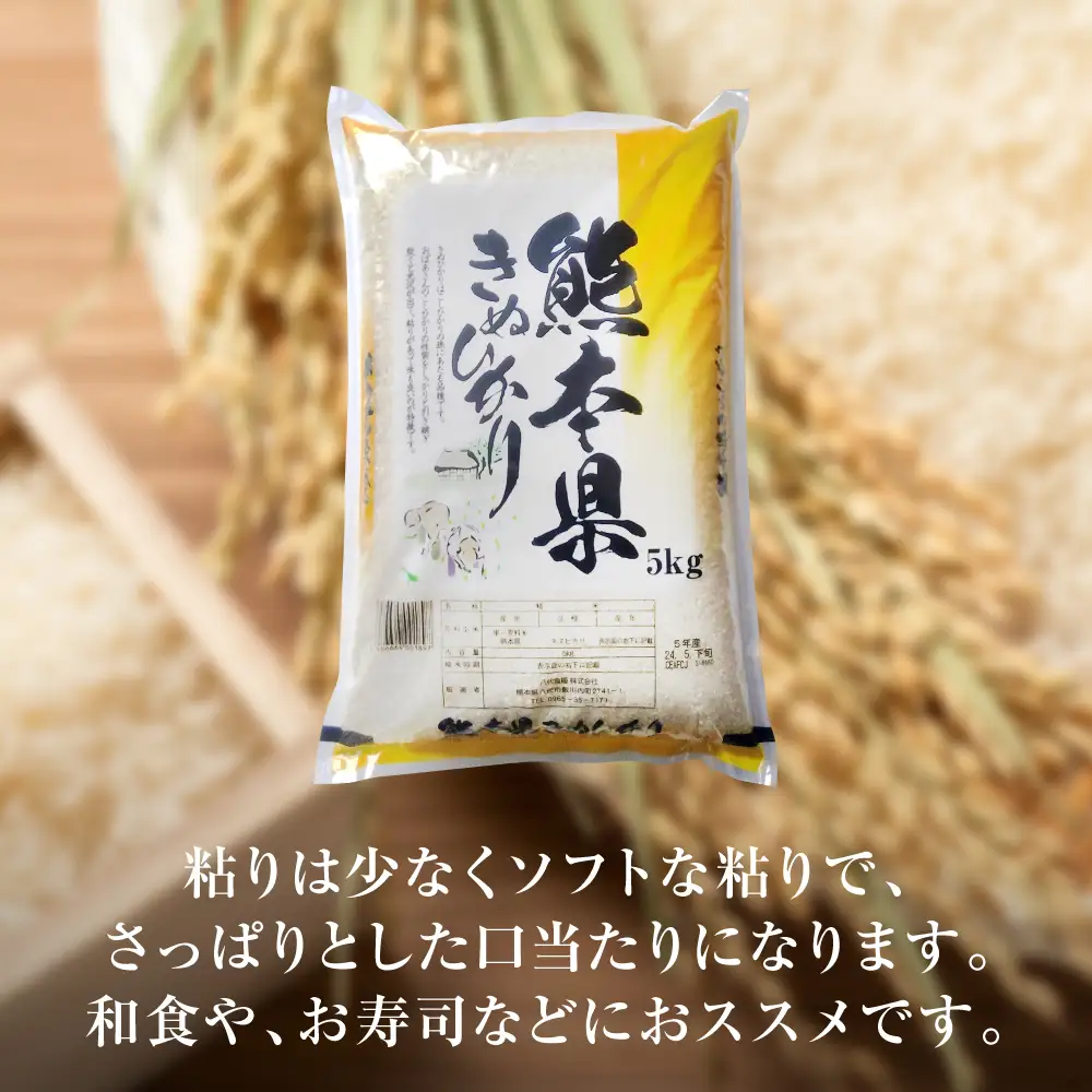 精米 【先行予約】 《令和8年産》 熊本県産 きぬひかり 10kg (5kg×2袋) 【2026年9月上旬より順次発送】 精米