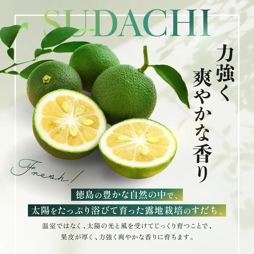 露地すだち 1箱（約1kg） 先行予約 ｜すだち