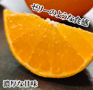 【2027年3月下旬から発送予定】 あいか 愛果48号 2kg 家庭用 愛媛県産 みかん 柑橘 【FT101_x】