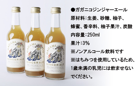 【炭酸飲料】 ガガニコジンジャーエール 24本セット (250ml×24本)【 炭酸 飲料 ドリンク 飲み物 ノンアルコール ジンジャー 北限のゆず ゆず 生姜 ショウガ しょうが 】RT1957