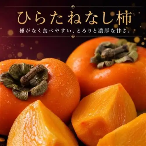 【発送月固定定期便】紀州和歌山産旬のフルーツセット(桃・ピオーネ・ひらたねなし柿)全3回【配送不可地域：離島・北海道・沖縄県】【4052596】