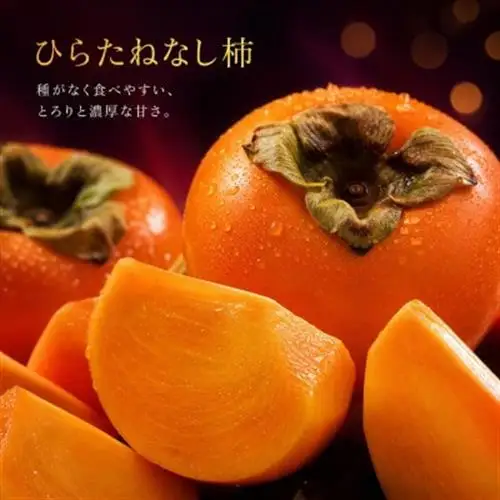【発送月固定定期便】紀州和歌山産旬のフルーツセット(桃・梨・ひらたねなし柿)全3回【配送不可地域：離島・北海道・沖縄県】【4052599】
