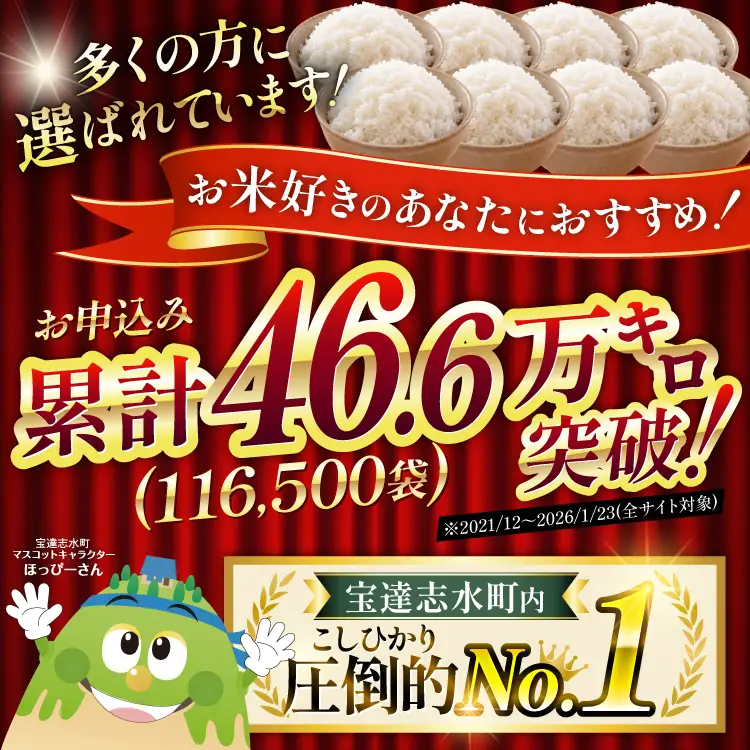 【3回 定期便】 石川米 こしひかり 5kg 精米 白米