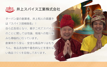 カレー 熟成カレー 中辛･甘口 各2袋 合計4袋 セット | カレー セット カレー セット カレー セット 井上スパイス