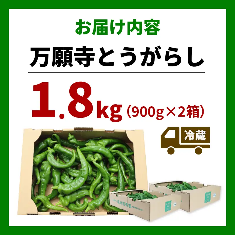 【5月中旬～11月下旬発送】 訳あり 万願寺とうがらし 1.8kg (900g×2箱) 