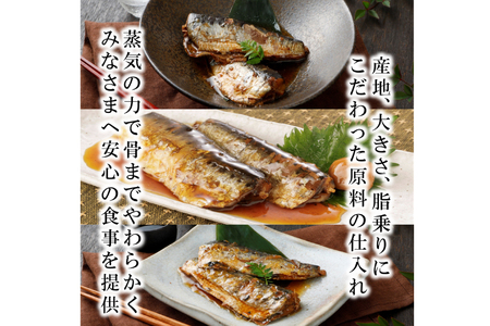 6回 定期便 訳あり 業務用 いわし煮魚 3種 ×10尾 計30尾入 約1.5kg ×6回 総重量 約9kg 