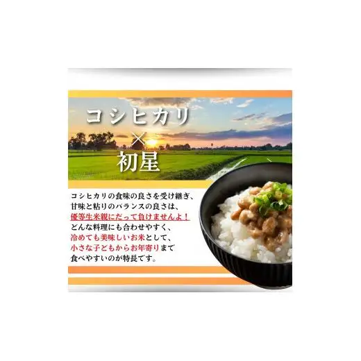 【石垣島産ひとめぼれ】日本最南端の日本一早い新米・10kg　SI-59-1