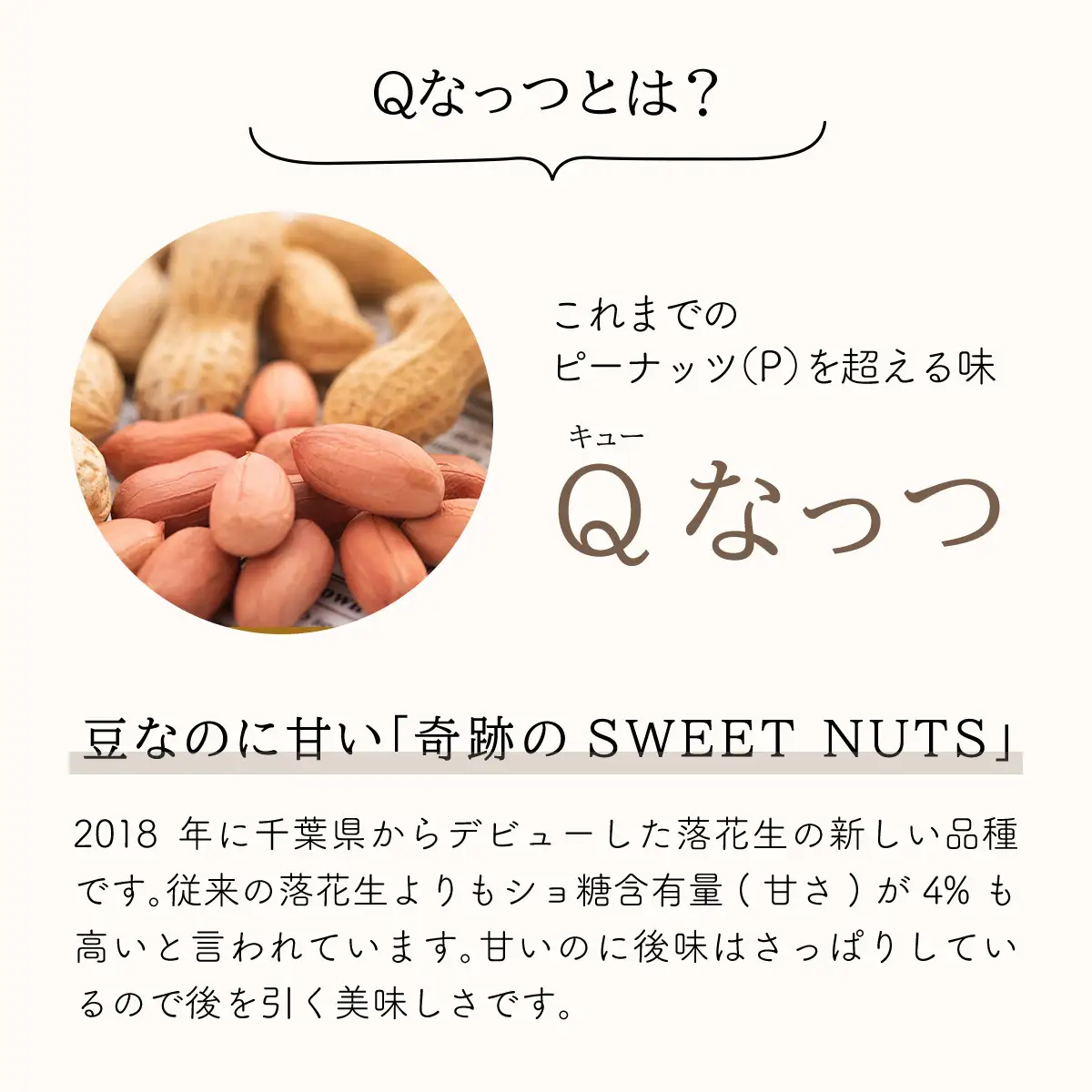 【先行予約】【11月上旬から発送】落花生・Ｑなっつのやわらか甘納豆（110ｇ）2個セット SMAH001／ふるさと納税 甘納豆 豆 甘い 落花生 千葉県 山武市 千葉県産