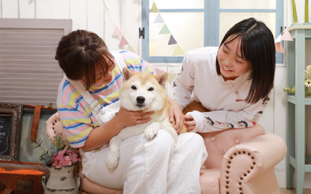 【ペット撮影】わんこ＊ぷらネットデータパック撮影
