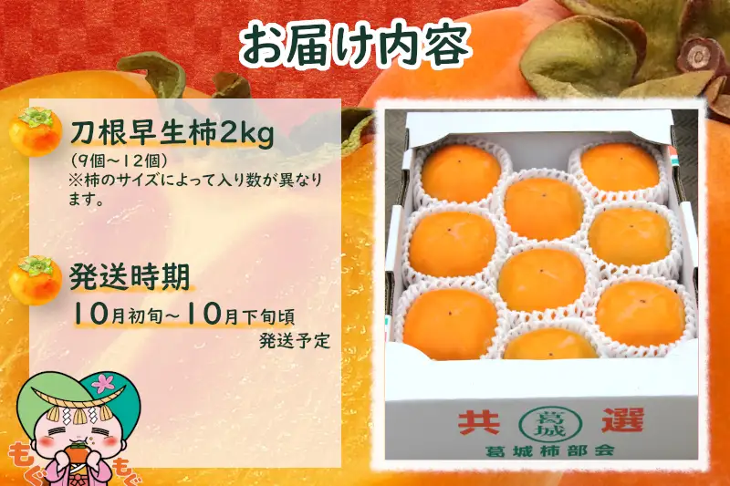 種無し柿（刀根早生柿）約2kg / 奈良県農業協同組合 フルーツ かき 果物 種無し 奈良県 御所市