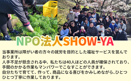 ＜天日干し芋 安納芋 400g（200g×2袋）＞1袋約8枚入り 西予市産 愛媛県産 国産 さつま芋 さつまいも サツマイモ ほし芋 おやつ 和菓子 お菓子 スイーツ 和スイーツ NPO法人SHOW-YA 愛媛県 西予市【常温】『2024年12月～2025年3月迄に順次出荷予定』USY0002