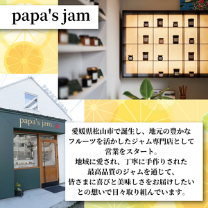 【手作りマーマレード】 イギリス世界大会金賞受賞 ゆず マーマレード 3本セット 柚子 柑橘 みかん 蜜柑 ジャム コンフィチュール 期間限定 パン ヨーグルト 料理 サラダ 菓子 papa's jam 