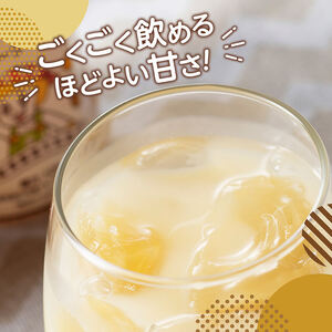 【6ヶ月定期便】サンA フルッぴーフルーツオレ(PET) 240ml×48本【 川南町 フルーツ 日向夏 キウイ ドリンク 定期便 】