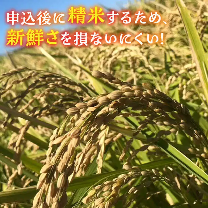 【先行予約】新米 津田くん農園の夢つくし 10kg [VDG002] 米 白米 お米 ご飯