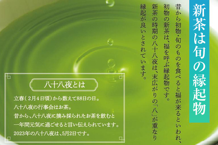【予約返礼品/2025年5月以降順次発送】新茶 八女星野茶 120g×2本 緑茶 八女茶 お茶 茶葉 セット お取り寄せグルメ お取り寄せ 福岡 お土産 九州 福岡土産 取り寄せ グルメ 福岡県