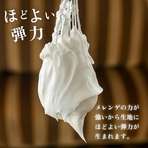 【紅茶】半生シフォンケーキ  ケーキ