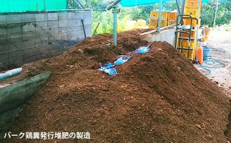 【先行予約 ３月出荷】 採りたて 甘夏 10Kg（農薬化学肥料不使用） 尾鷲市 甘夏屋 平山農園 HI-f-9