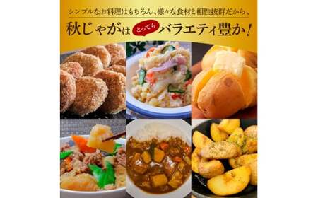 【訳あり】 令和8年産 秋じゃが 10kg ～ 訳あり ～ ★令和8年11月下旬発送開始★