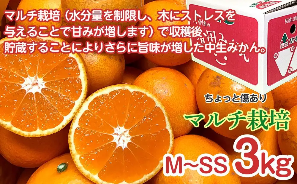 定期便 ちょっと 傷あり 3kg × 3回 コース 有田みかん 食べくらべ 3種 全3回 南泰園 みかん