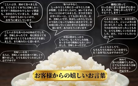 米 新米【令和6年産 新米先行予約】【3ヶ月定期便】新潟産こしいぶき 10kg(5kg×2)×3回お届け(計30kg) プロが認めたうまい米 コシヒカリ 令和6年産 新潟産コシイブキ 新潟県糸魚川産 農家直送 2024年 毎月お届け 【定期便 コシイブキ こしいぶき 精米 白米 米 お米 こめ コメ おすすめ ギフト 10キロ 先行予約 精米 白米 3ヶ月 3か月 3回】