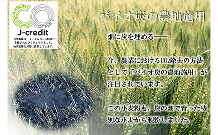 北海道下川町産強力粉はるゆたか100% 25kg バイオ炭施用 カーボン・オフセット付 業務用紙袋 F4G-0219
