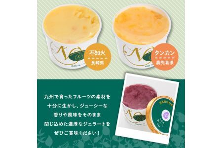 九州ジェラートセット(9個入) アイス アイスクリーム 苺 いちご イチゴ あまおう ぶどう マンゴー メロン もも モモ 桃 パイナップル パイン 不知火 しらぬい タンカン たんかん フルーツ 国産 スイーツ＜離島配送不可＞【ksg1284】【南国フルーツ】