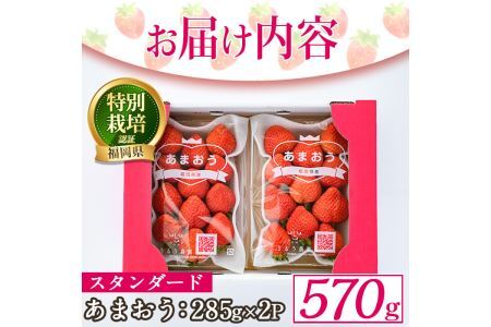 ＜予約受付中！2027年2月より順次発送予定＞うるう農園のスタンダードあまおう(計570g・285g×2P)  苺 いちご イチゴ 果物 フルーツ 国産 福岡県 ヨーグルト ジャム スムージー 冷蔵 特別栽培＜離島配送不可＞【ksg1218】【うるう農園】