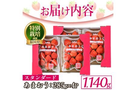 ＜予約受付中！2027年2月より順次発送予定＞うるう農園のスタンダードあまおう(計1.14kg・285g×4P) ふるさと納税 春日市 特産品 苺 いちご イチゴ 果物 フルーツ 国産 福岡県 ヨーグルト ジャム スムージー 冷蔵 特別栽培＜離島配送不可＞【ksg1219】【うるう農園】