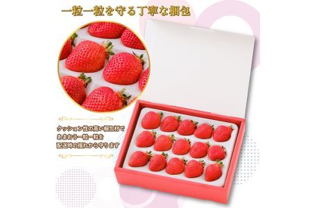 ＜予約受付中！2026年12月より順次発送予定＞特選あまおう(約400g) 苺 いちご イチゴ 国産 福岡県 果物 フルーツ ヨーグルト ジャム スムージー 冷蔵 特別栽培＜離島配送不可＞【ksg1318】【うるう農園】