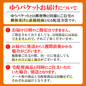 ＜ポスト投函でお届け＞国産本革ボールペンケース オレンジ(1点) レザー 国産 日本製 牛革 革製品 手作り 贈答 男性 女性 レディース メンズ【ksg1350-or】【Zenis】