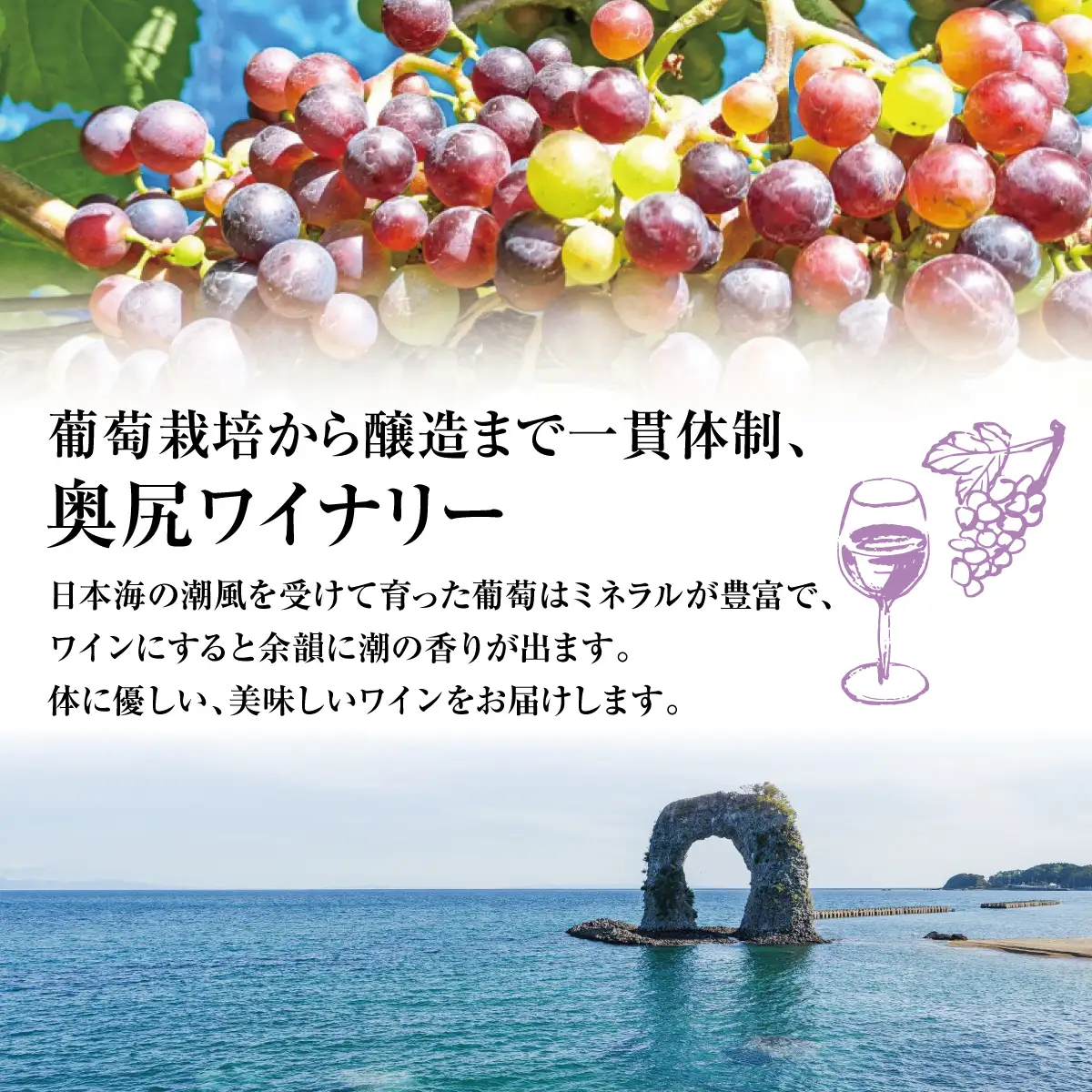 「奥尻ワイン」OKUSHIRI　『風揺139.4，42.1 メルロー2022』