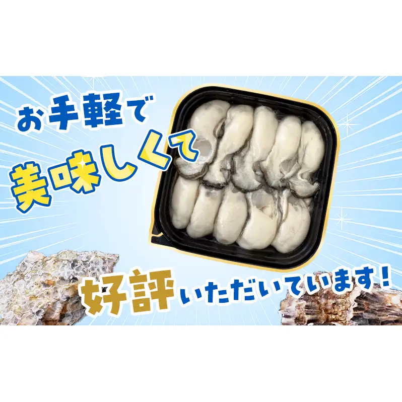 6ヵ月 定期便 ちょびっと 牡蠣 むいちゃいました！ 300g 生食用 牡蠣