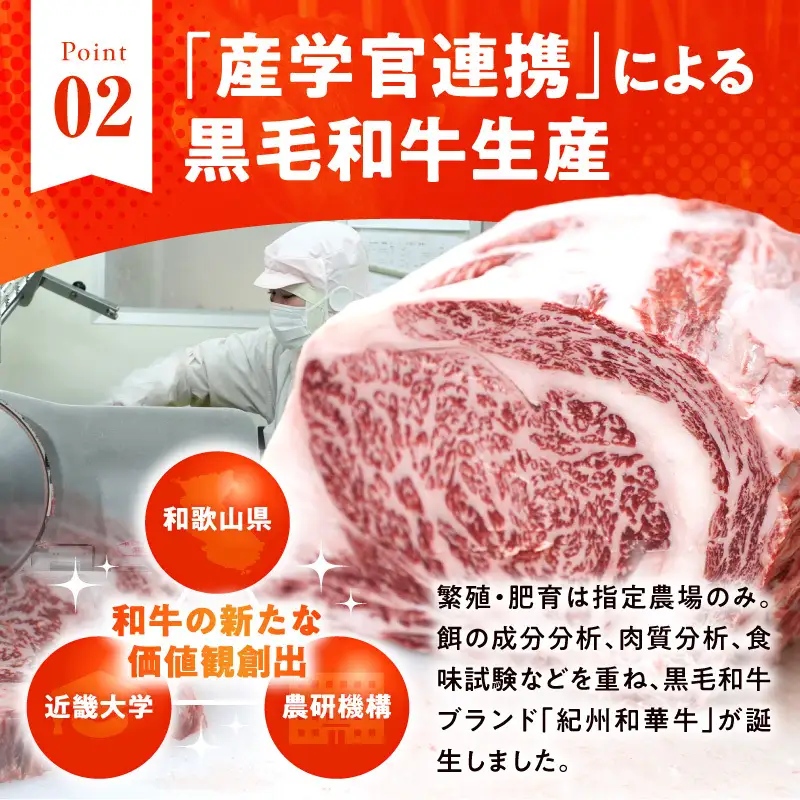 紀州和華牛　サーロインブロック　2kg_BN6120