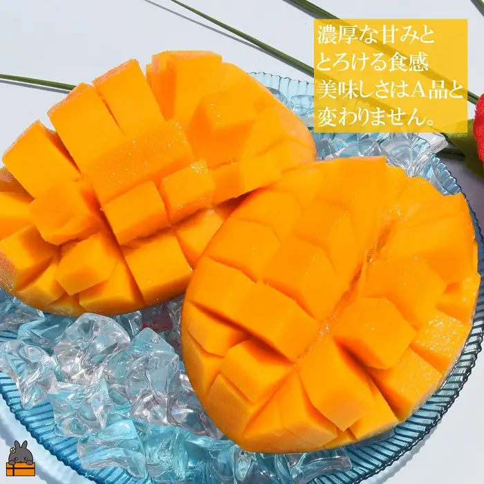 ≪今が旬！≫訳あり！【家庭用】徳之島産完熟マンゴー1kg（2～3玉）フルーツ わけあり 訳あり 果物