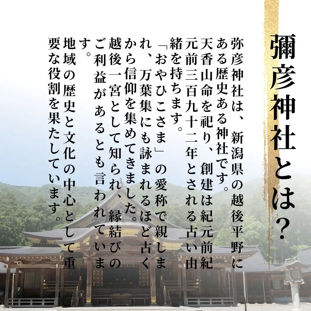 コシヒカリ 令和8年産 伊彌彦米 零(ぜろ) 10kg 新潟県産 栽培期間中農薬不使用 