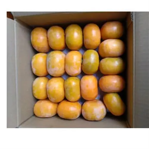 和歌山県産たね無し柿　L・2Lサイズ　5kg_果物・フルーツ 柿（カキ）  かき_【1510921】