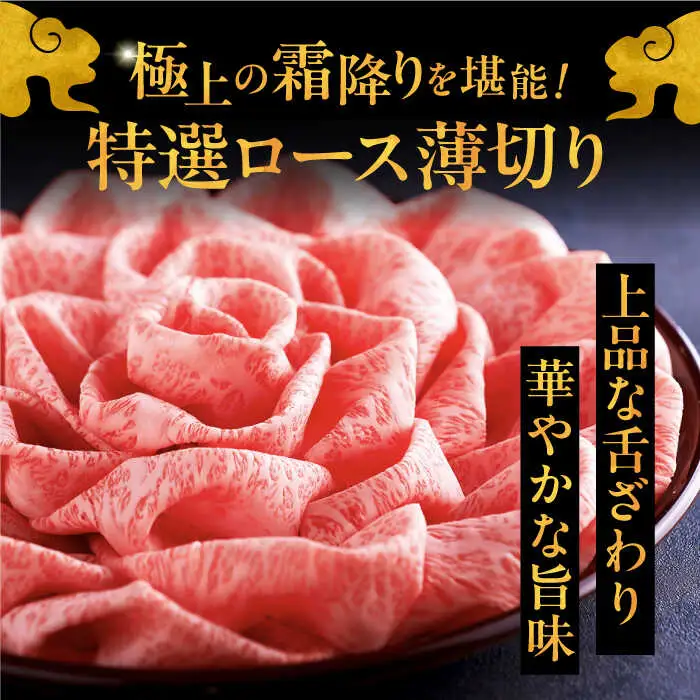 【全6回定期便】博多和牛 王道 食べ比べ 定期便 4人前 ( サーロイン ステーキ / 特選 ロース スライス / シャトーブリアン ) [ADBM167] サーロイン ロース シャトーブリアン 贅沢 高級 定期便 