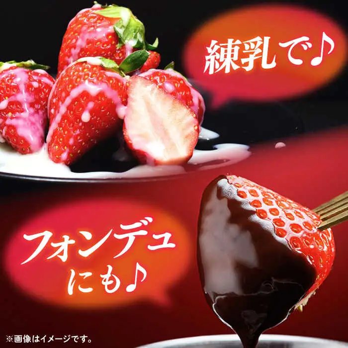 【先行予約】いちご ゆめのか 1kg [JBO138] イチゴ 苺